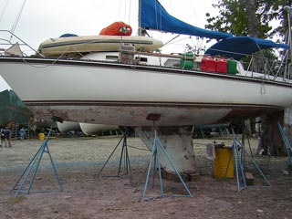 La Ceiba