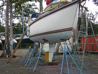 La Ceiba