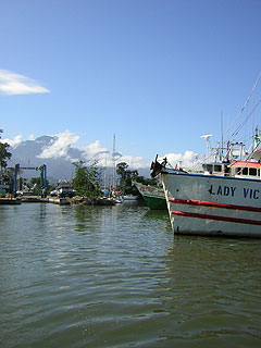 La Ceiba