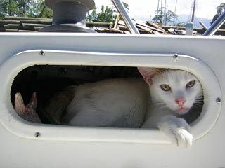 La Ceiba