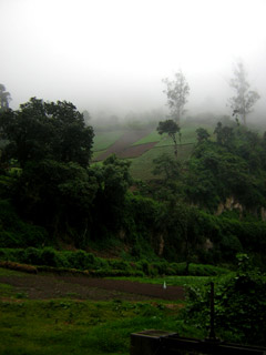 Chicovix