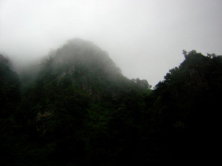 Chicovix