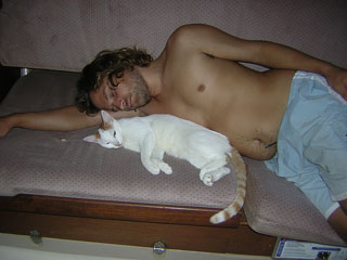 More cat pics!