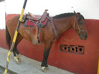 Jerico De Antioquia Colombia