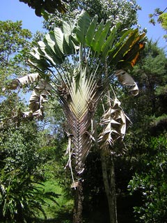 Jerico De Antioquia Colombia