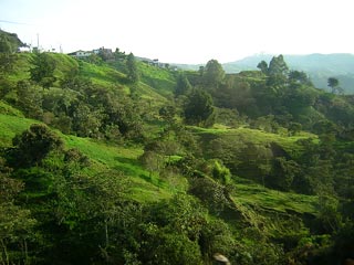 Jerico De Antioquia Colombia
