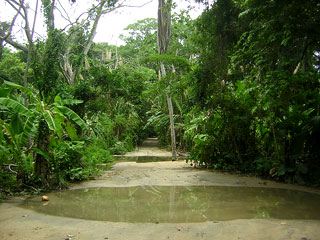 Tayrona Colombia