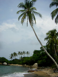 Tayrona Colombia