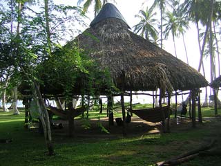 Tayrona Colombia