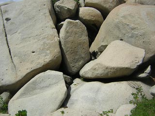 Tayrona Colombia