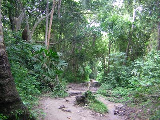 Tayrona Colombia