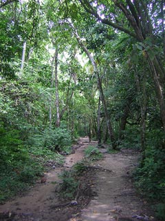 Tayrona Colombia