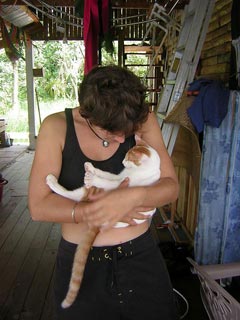 Cat Opperations