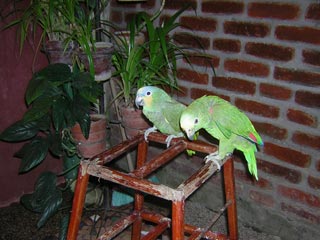Mompos, Colombia