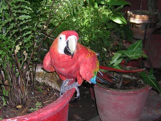 Mompos, Colombia