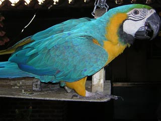 Mompos, Colombia