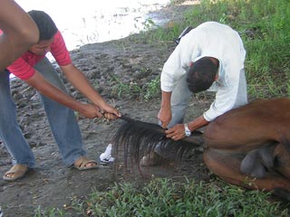 Mompos, Colombia