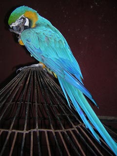 Mompos, Colombia