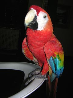 Mompos, Colombia