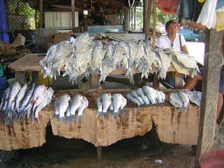 Mompos, Colombia