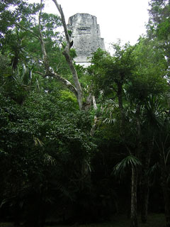 Tikal