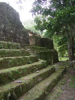 Tikal