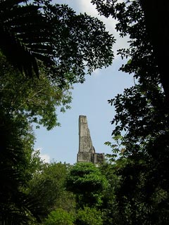 Tikal