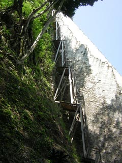 Tikal