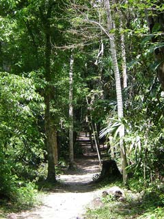 Tikal