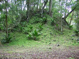 Tikal