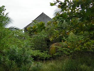Utila