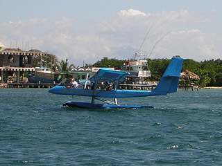 Utila